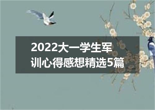 2022大一学生军训心得感想精选5篇