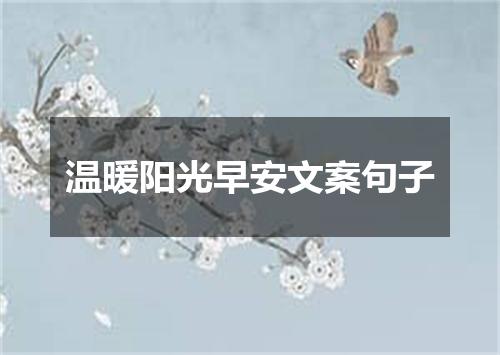 温暖阳光早安文案句子