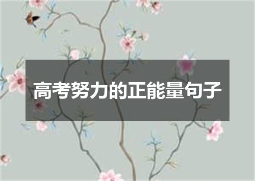 高考努力的正能量句子