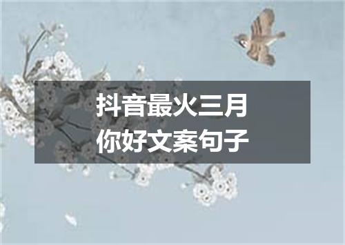 抖音最火三月你好文案句子