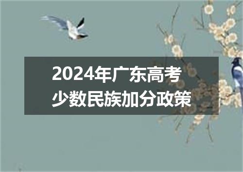 2024年广东高考少数民族加分政策
