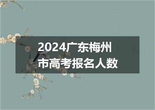 2024广东梅州市高考报名人数