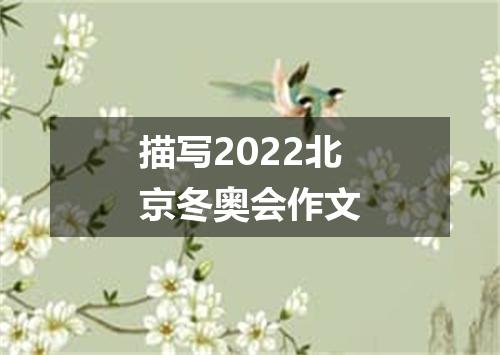 描写2022北京冬奥会作文