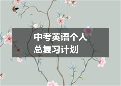 中考英语个人总复习计划