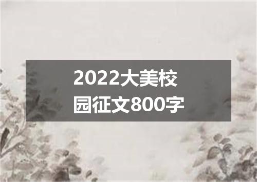 2022大美校园征文800字