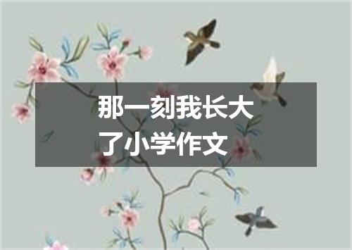 那一刻我长大了小学作文