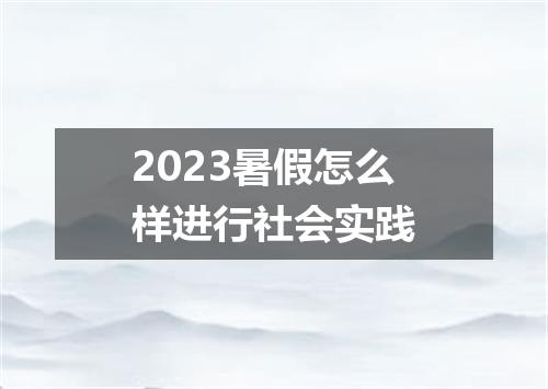 2023暑假怎么样进行社会实践