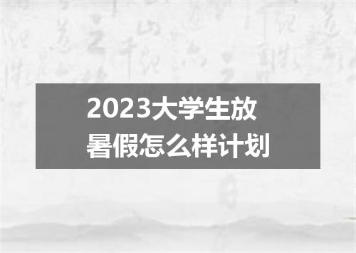 2023大学生放暑假怎么样计划