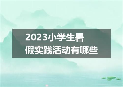 2023小学生暑假实践活动有哪些