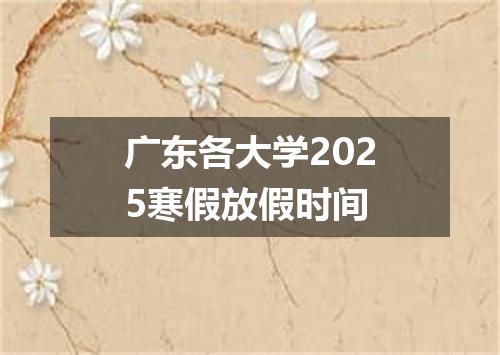 广东各大学2025寒假放假时间