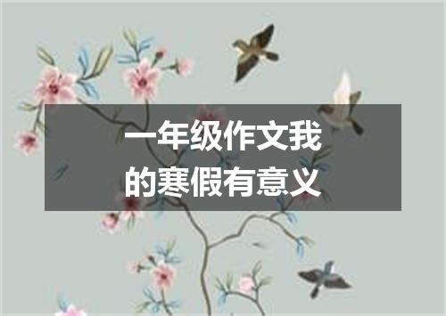 一年级作文我的寒假有意义