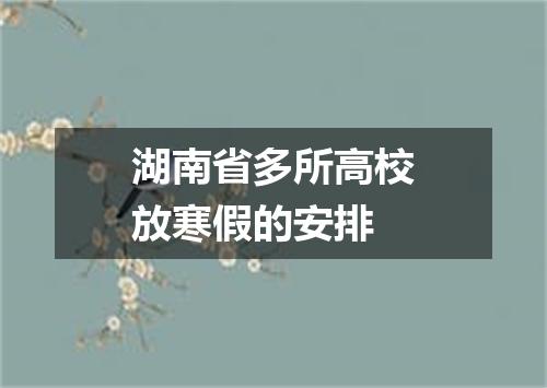 湖南省多所高校放寒假的安排