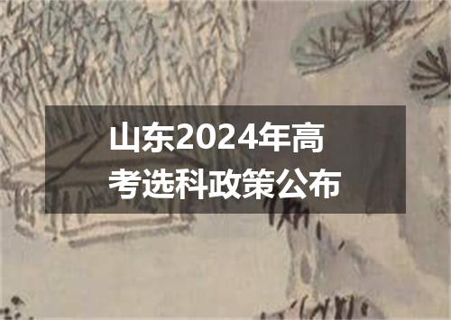 山东2024年高考选科政策公布