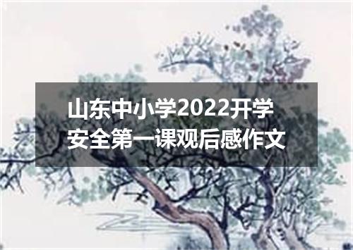 山东中小学2022开学安全第一课观后感作文