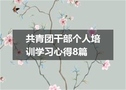 共青团干部个人培训学习心得8篇