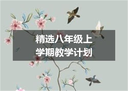 精选八年级上学期教学计划