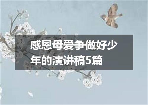 感恩母爱争做好少年的演讲稿5篇