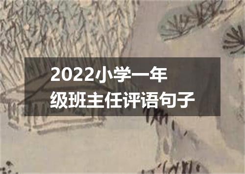 2022小学一年级班主任评语句子