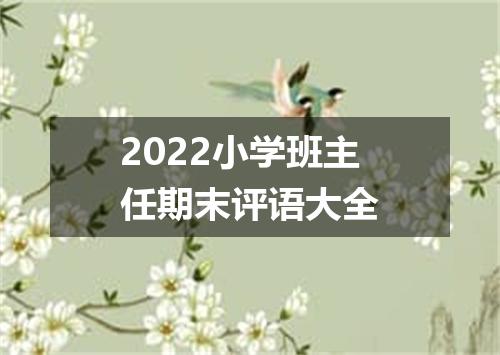 2022小学班主任期末评语大全