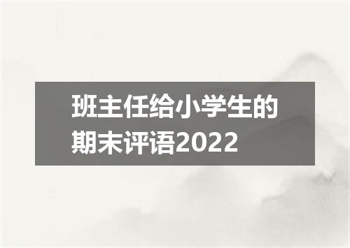 班主任给小学生的期末评语2022