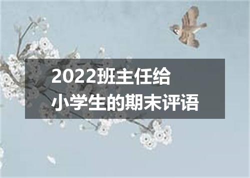 2022班主任给小学生的期末评语