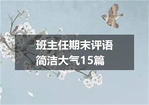 班主任期末评语简洁大气15篇