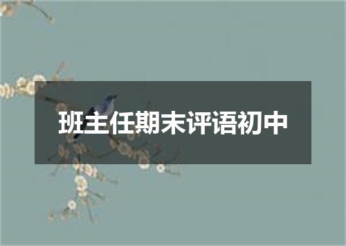 班主任期末评语初中