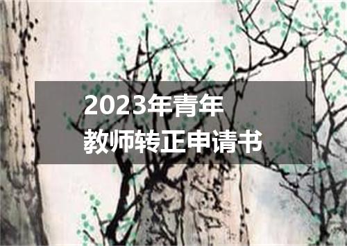 2023年青年教师转正申请书