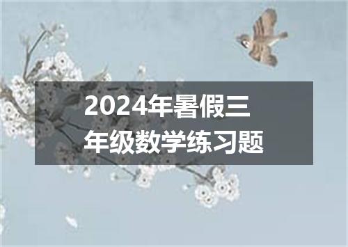 2024年暑假三年级数学练习题