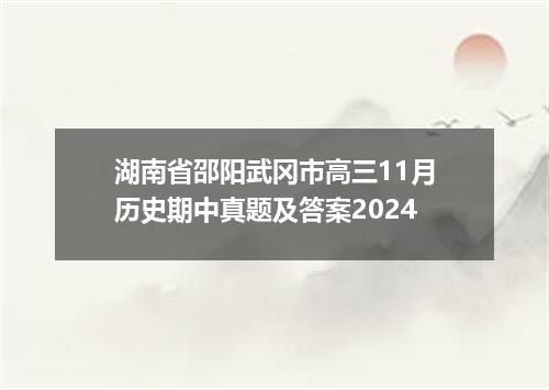 湖南省邵阳武冈市高三11月历史期中真题及答案2024