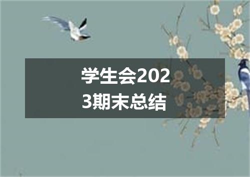 学生会2023期末总结