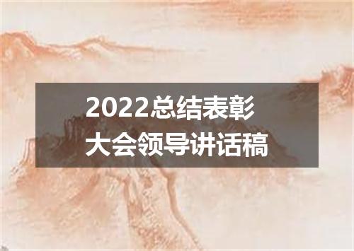 2022总结表彰大会领导讲话稿