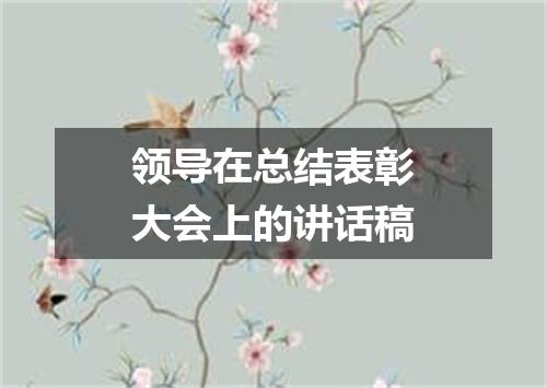领导在总结表彰大会上的讲话稿
