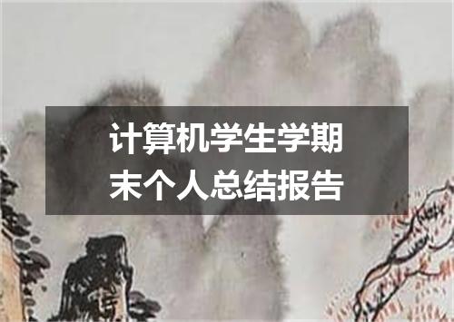 计算机学生学期末个人总结报告