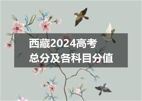西藏2024高考总分及各科目分值