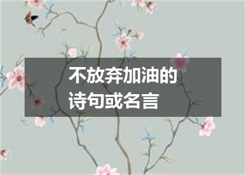 不放弃加油的诗句或名言