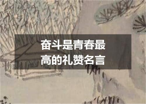 奋斗是青春最高的礼赞名言