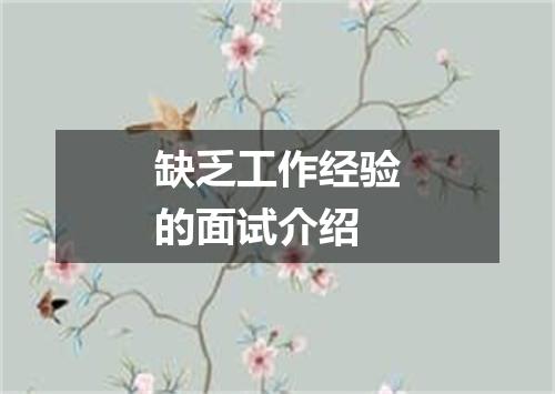缺乏工作经验的面试介绍
