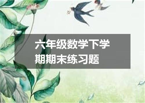 六年级数学下学期期末练习题