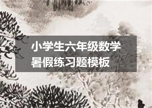 小学生六年级数学暑假练习题模板