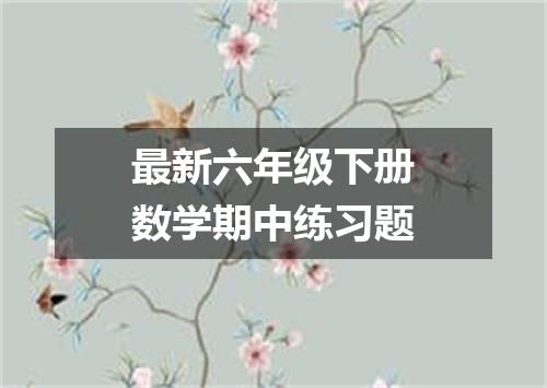 最新六年级下册数学期中练习题