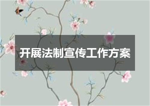 开展法制宣传工作方案