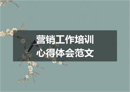 营销工作培训心得体会范文