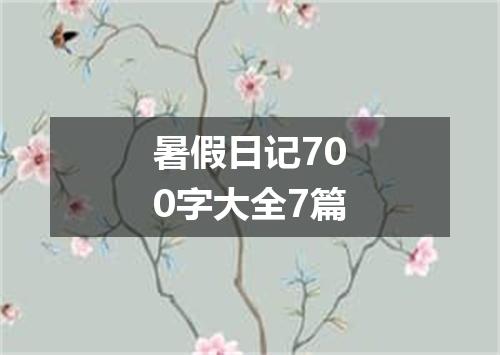 暑假日记700字大全7篇