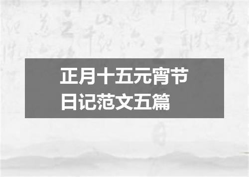 正月十五元宵节日记范文五篇
