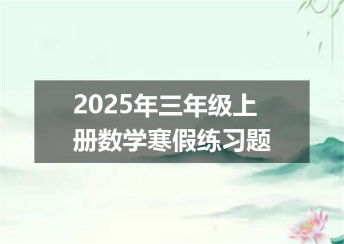 2025年三年级上册数学寒假练习题