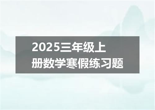 2025三年级上册数学寒假练习题