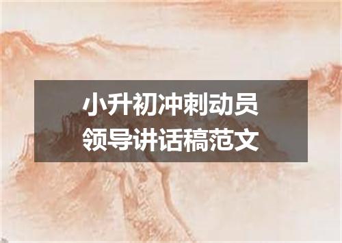 小升初冲刺动员领导讲话稿范文