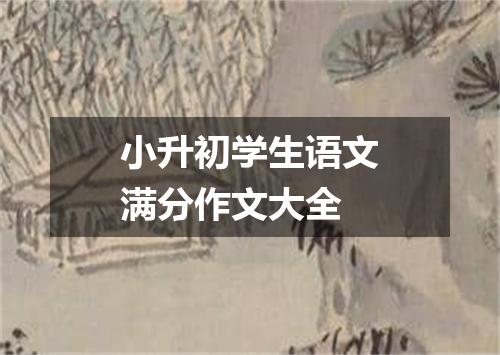 小升初学生语文满分作文大全