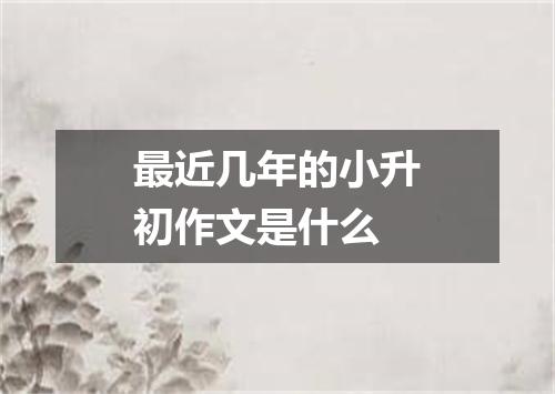 最近几年的小升初作文是什么